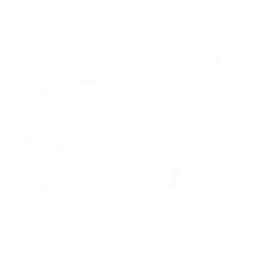 KOLAGENEM I. TYPU Guna