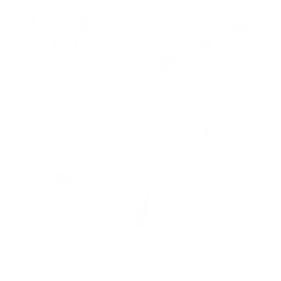 Vyšetření jako EKG, HOLTER, fyzioterapie